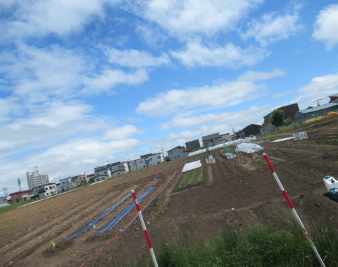 あんあん農園　成長記